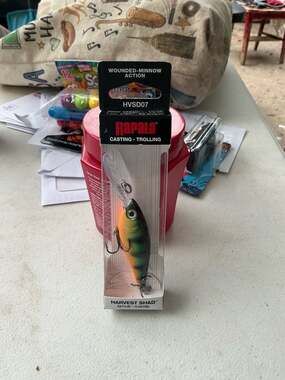 Rapala Rattlin' Shad Rap HVSD07 Floating Fishing Lure in Perch Color